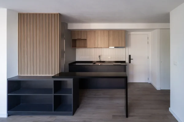 DOMINI CONSTITUYENTE - COCINA CON BARRA