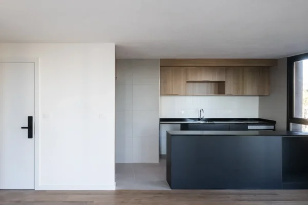 DOMINI CONSTITUYENTE - CORTE INTERIOR