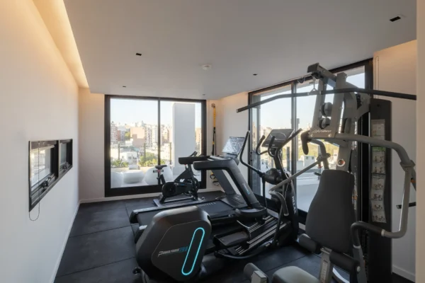 DOMINI CONSTITUYENTE - GIMNASIO