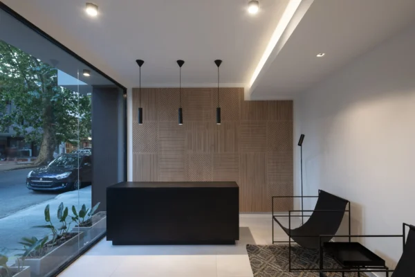 DOMINI CONSTITUYENTE - HALL 2