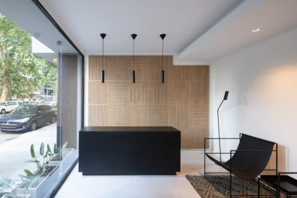 DOMINI CONSTITUYENTE - HALL