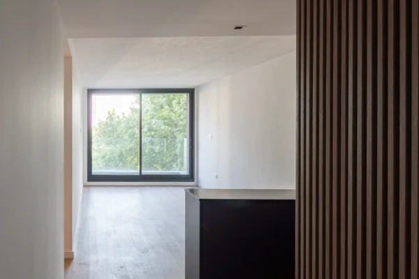 DOMINI CONSTITUYENTE - INTERIOR