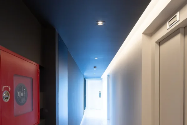 DOMINI CONSTITUYENTE - PALLIER