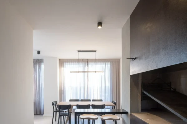 DOMINI CONSTITUYENTE - PARRILLERO