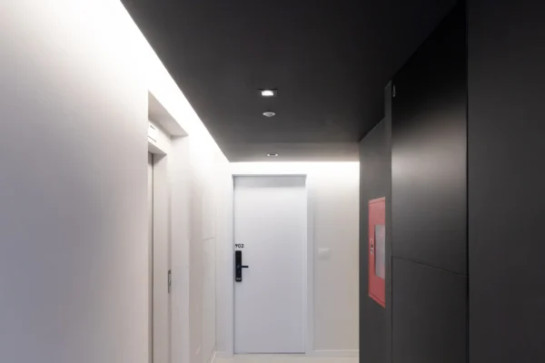 DOMINI CONSTITUYENTE - PASILLO PALLIER